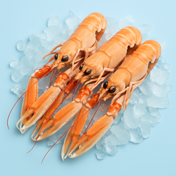 langoustines