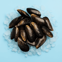 moules du bouchot